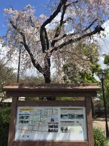 大垣八幡神社の建物その他