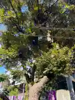 龍宮(江島神社)(神奈川県)