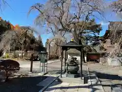 長谷寺の建物その他