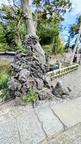 菊田神社の狛犬