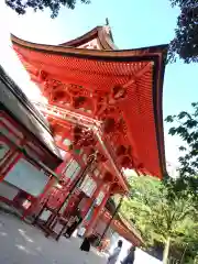 賀茂御祖神社（下鴨神社）(京都府)