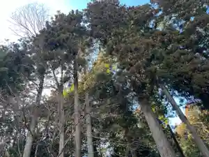 大宮温泉神社(栃木県)(2024年02月19日(月) 14時20分33秒投稿)
