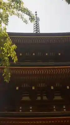 岡寺(龍蓋寺)(奈良県)