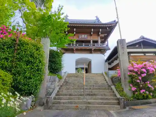 安養寺の山門