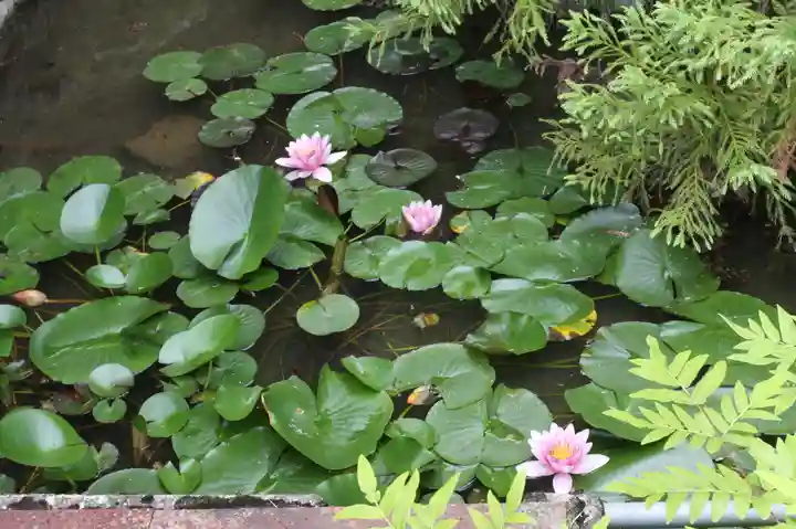 桑實寺(滋賀県)