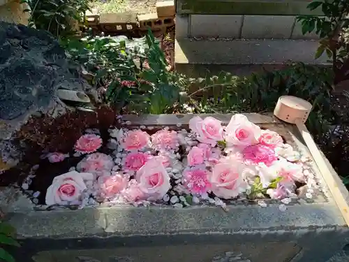 本郷氷川神社(東京都)