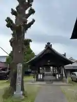 天神社(余坂天神社)の{uncategorized: "未分類", other: "その他", undefined: "問題あり", building: "その他建物", grave: "お墓", sacred_gate: "鳥居", guardian: "狛犬", statue: "像", buddha: "仏像", history: "歴史", nature: "自然", garden: "庭園", animal: "動物", pagoda: "塔", temizu: "手水舎", mountain_gate: "山門・神門", sanctuary: "本殿・本堂", subordinate: "末社・摂社", art: "芸術", scenery: "景色", jizo: "地蔵", ema: "絵馬", goshuin: "御朱印", omikuji: "おみくじ", items: "授与品その他", amulet: "お守り", goshuincho: "御朱印帳", eats: "食事", festival: "お祭り", votive_dance: "神楽", shichigosan: "七五三参", wedding: "結婚式", experience: "体験その他", initially: "初詣", around: "周辺", anti_infection: "感染症対策"}