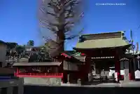 安養寺(神奈川県)