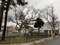 金刀比羅大神の鳥居