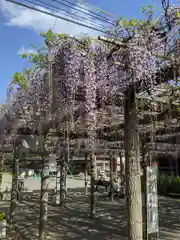 日吉神社の庭園