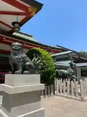 西宮神社の狛犬