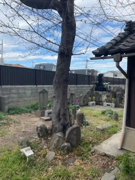 沼影観音堂(廣田寺)の{uncategorized: "未分類", other: "その他", undefined: "問題あり", building: "その他建物", grave: "お墓", sacred_gate: "鳥居", guardian: "狛犬", statue: "像", buddha: "仏像", history: "歴史", nature: "自然", garden: "庭園", animal: "動物", pagoda: "塔", temizu: "手水舎", mountain_gate: "山門・神門", sanctuary: "本殿・本堂", subordinate: "末社・摂社", art: "芸術", scenery: "景色", jizo: "地蔵", ema: "絵馬", goshuin: "御朱印", omikuji: "おみくじ", items: "授与品その他", amulet: "お守り", goshuincho: "御朱印帳", eats: "食事", festival: "お祭り", votive_dance: "神楽", shichigosan: "七五三参", wedding: "結婚式", experience: "体験その他", initially: "初詣", around: "周辺", anti_infection: "感染症対策"}