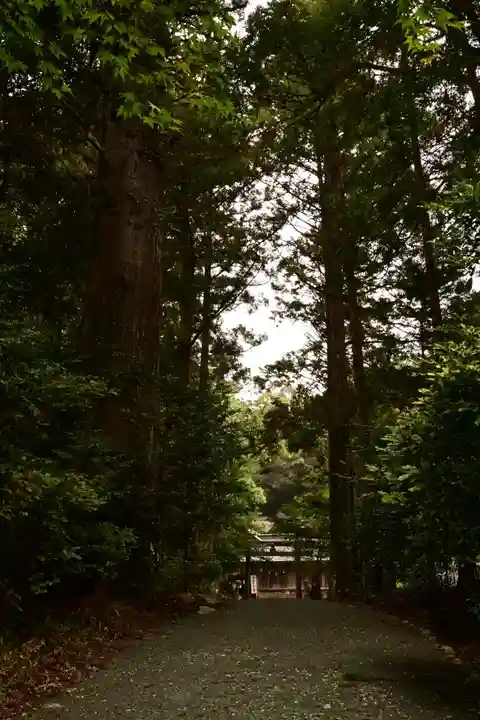 若一王子宮(高知県)