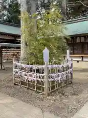 一言主神社の自然