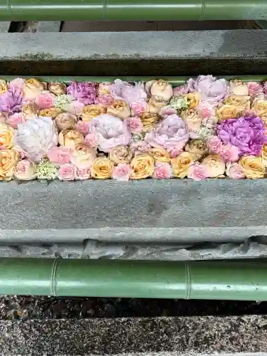 水無瀬神宮(大阪府)