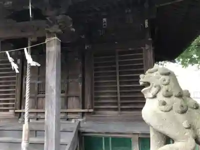 金澤八幡神社の狛犬