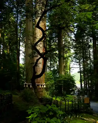 御岩神社(茨城県)