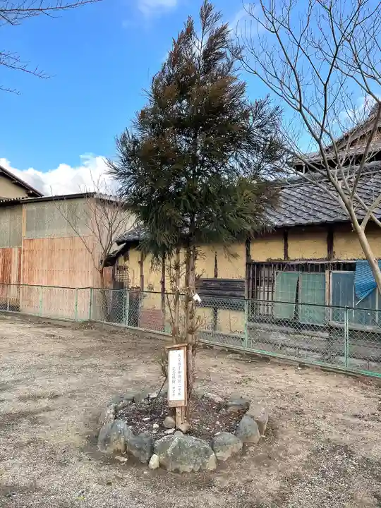 高岡神社の自然