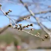 高司神社〜むすびの神の鎮まる社〜(福島県)
