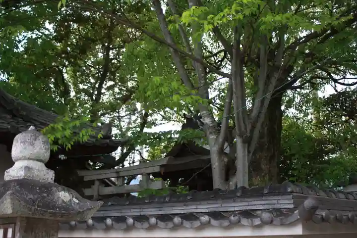 新宮大明神社(奈良県)