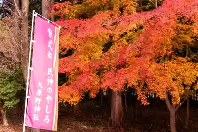 大原野神社(京都府)