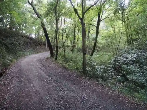 宝登山神社奥宮の周辺