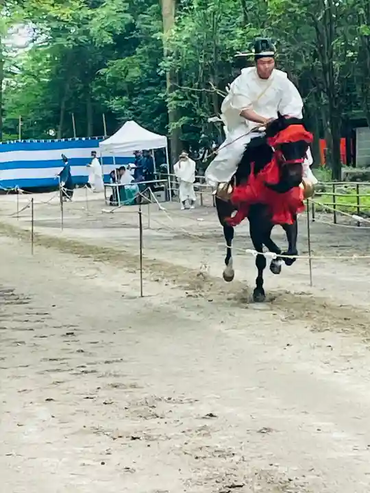 賀茂別雷神社(上賀茂神社)(京都府)