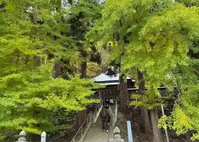新宮熊野神社(福島県)