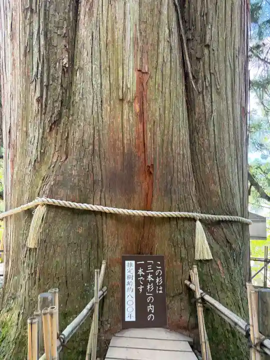 戸隠神社中社(長野県)
