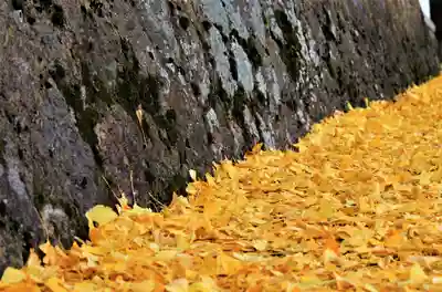 浄善寺のその他建物