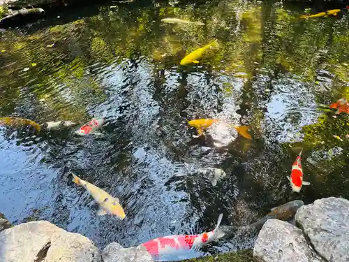 伊勢神宮内宮（皇大神宮）(三重県)