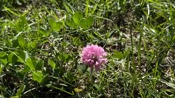 磐神社(岩手県)