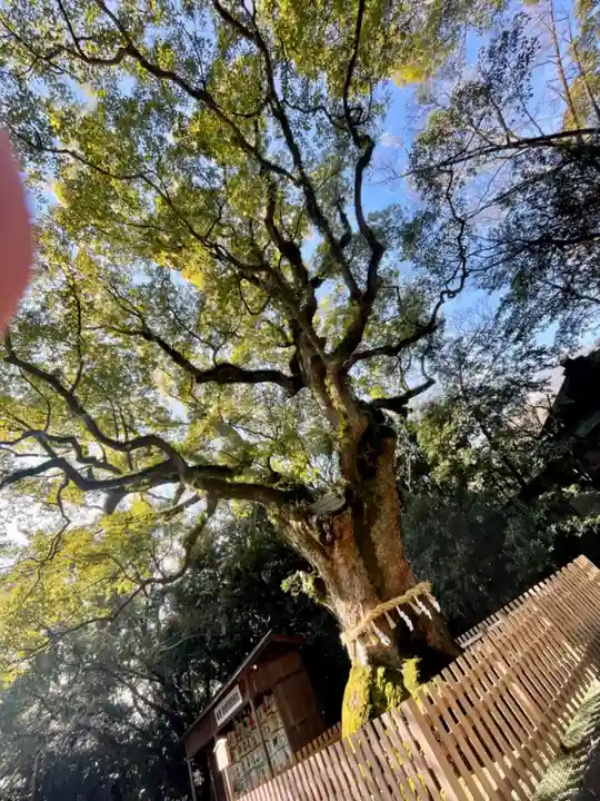 熱田神宮の自然