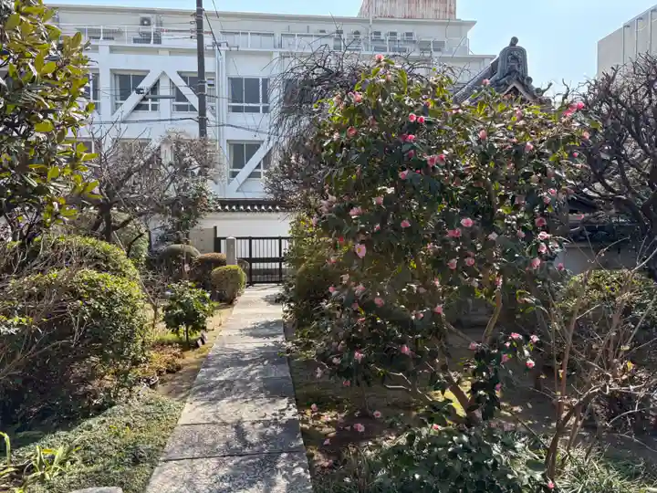 青蓮寺(大阪府)