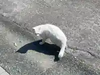王子神社(徳島県)