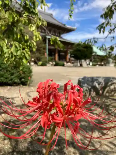 真宗大谷派名古屋別院の庭園