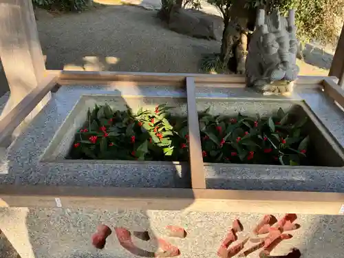 比々多神社の手水舎