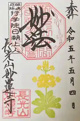 5月御朱印
黄花クリンソウ