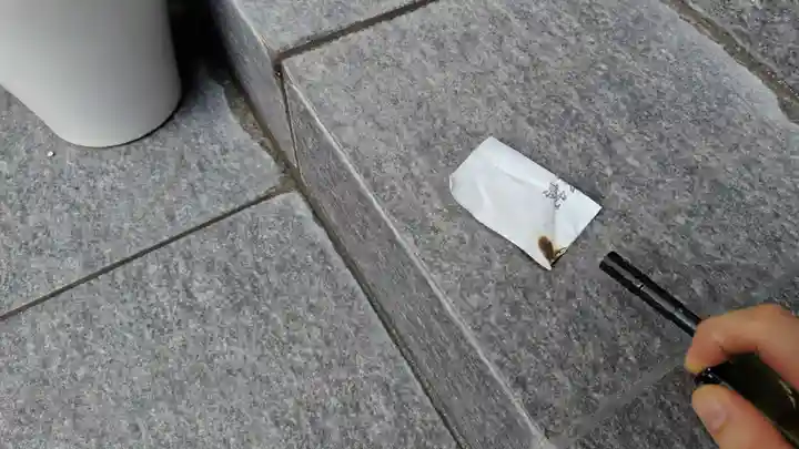 法雲寺(京都府)