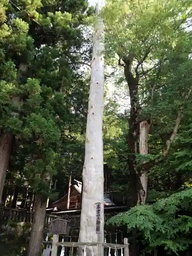 諏訪大社の自然