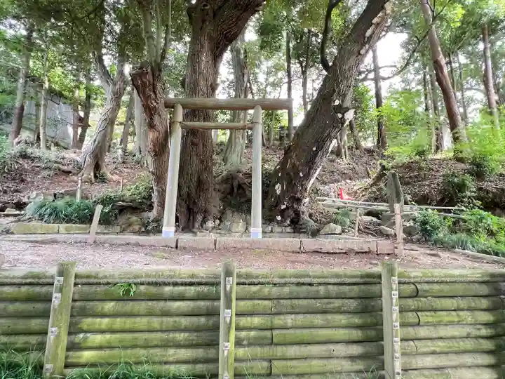 常陸國總社宮(茨城県)