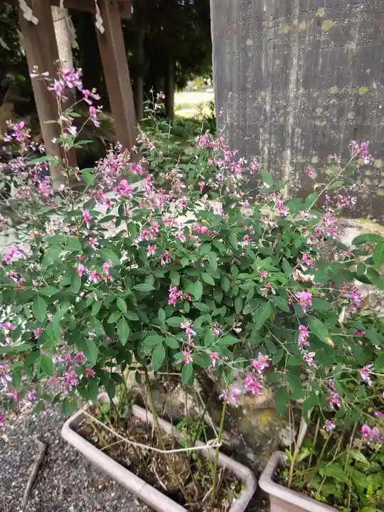 高司神社〜むすびの神の鎮まる社〜(福島県)