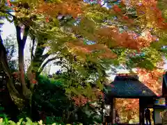 安楽寺(京都府)