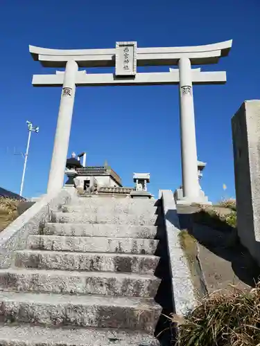 西宮神社の鳥居