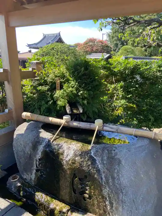 妙蓮寺の手水舎