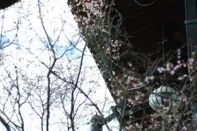 長谷寺(奈良県)