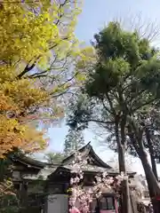 川越八幡宮(埼玉県)