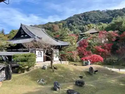 高台寺（高台寿聖禅寺・高臺寺）(京都府)