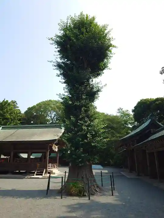 宗像大社中津宮(福岡県)