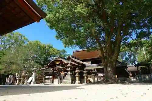 藤森神社の本殿・本堂